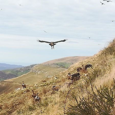 La Pasiega San Roque de Ríomiera Eksteriør bilde