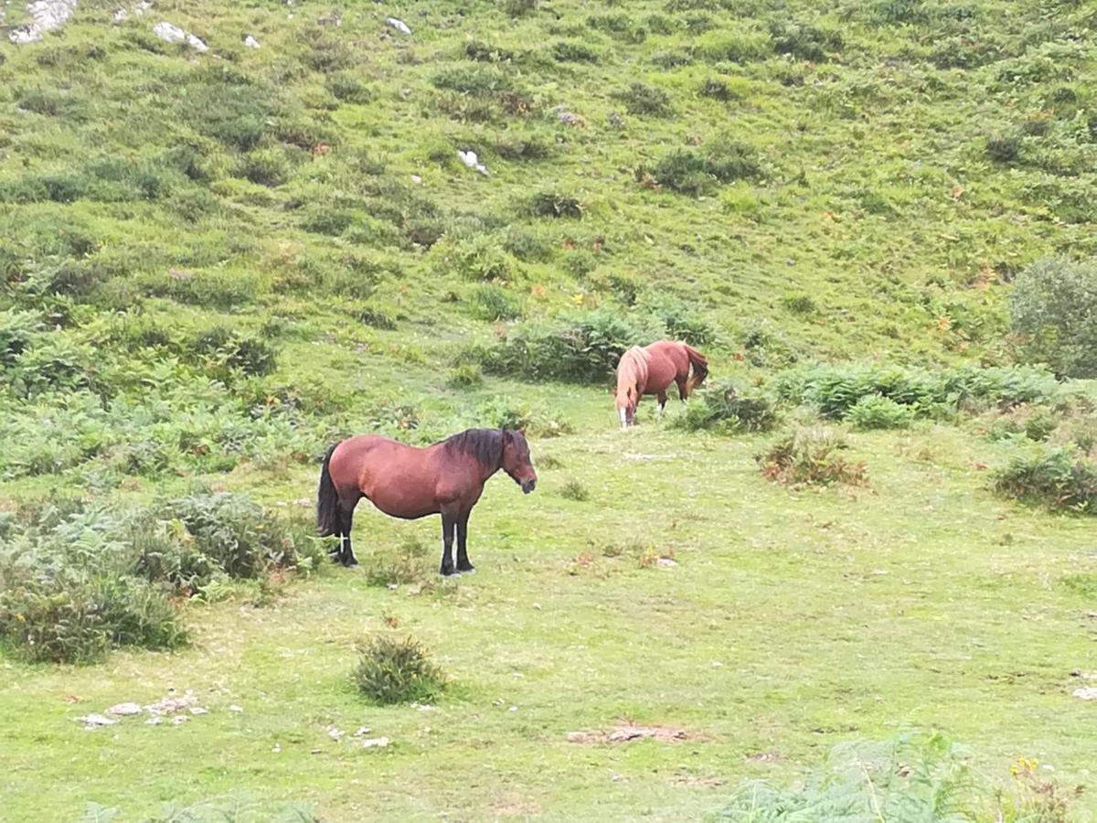 La Pasiega San Roque de Ríomiera Eksteriør bilde